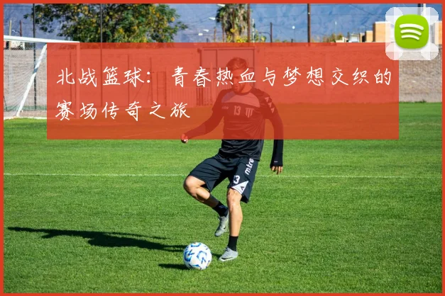 北战篮球：青春热血与梦想交织的赛场传奇之旅