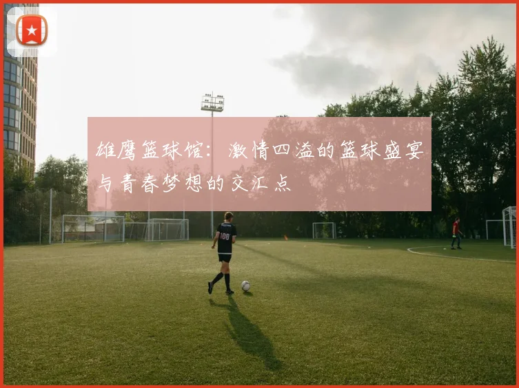 雄鹰篮球馆：激情四溢的篮球盛宴与青春梦想的交汇点