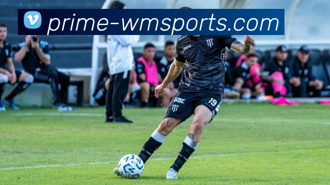 多媒体互动体验